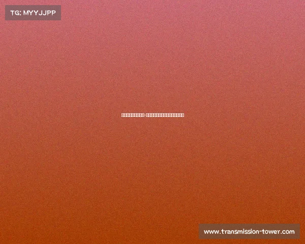 电子竞技不应该申奥-电子竞技应不应该进入奥运会正方